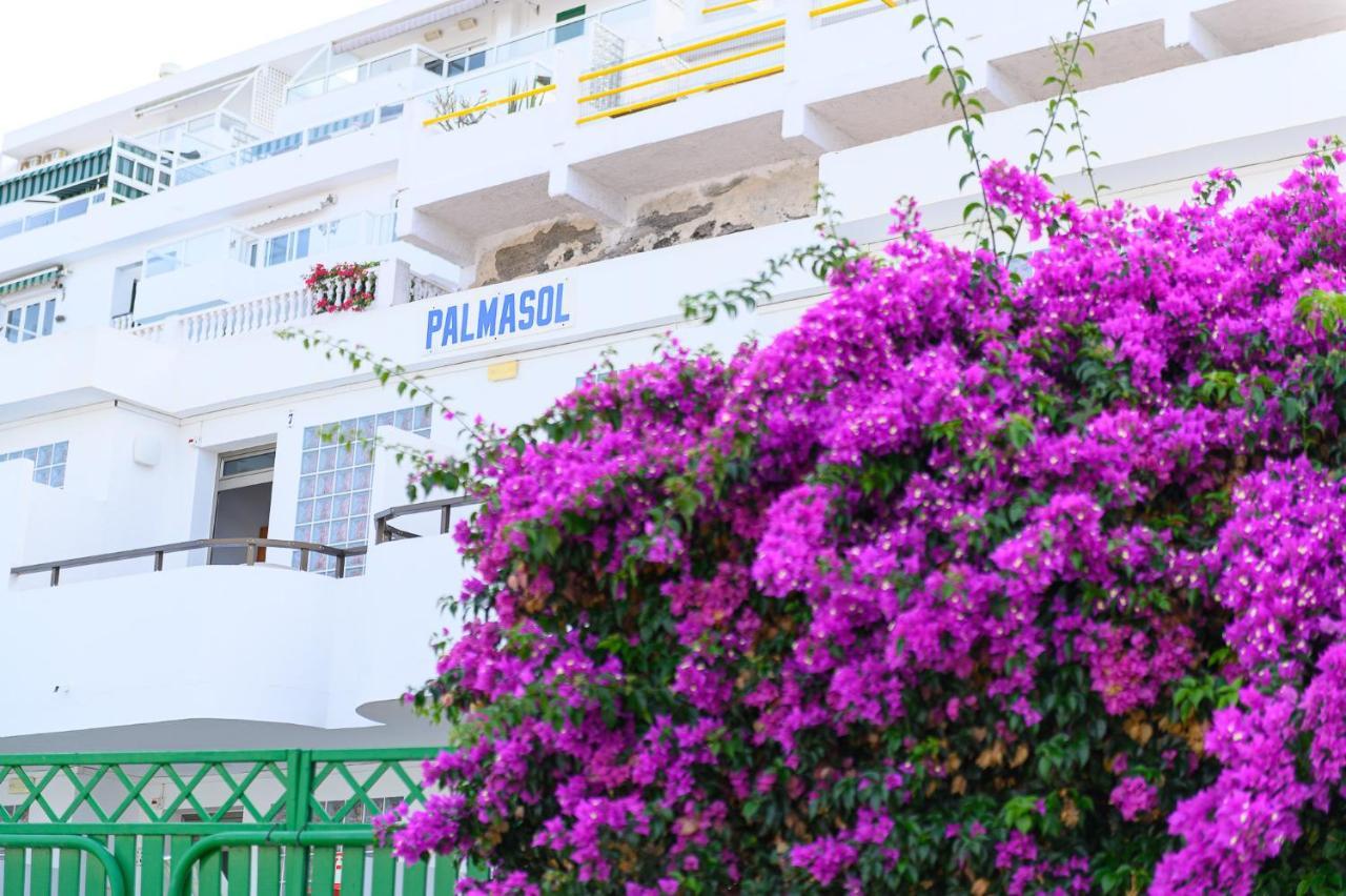 Palmasol Apartamentos Puerto Rico  Kültér fotó